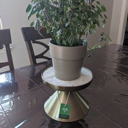 Plant Stand