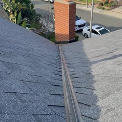 Shingle Roof