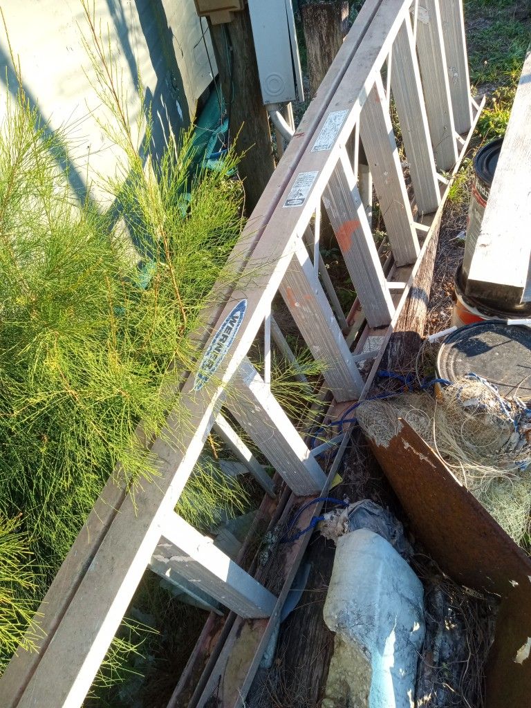 Ladder
