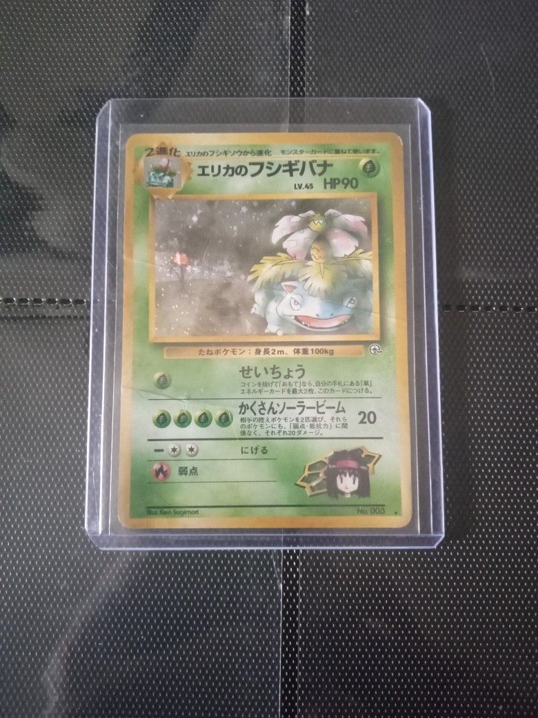 Japanese Erika's Venasuar