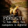 CULICHI SIN 