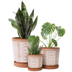 Totem Design Planter Pot with Saucer by D'Vine Dev