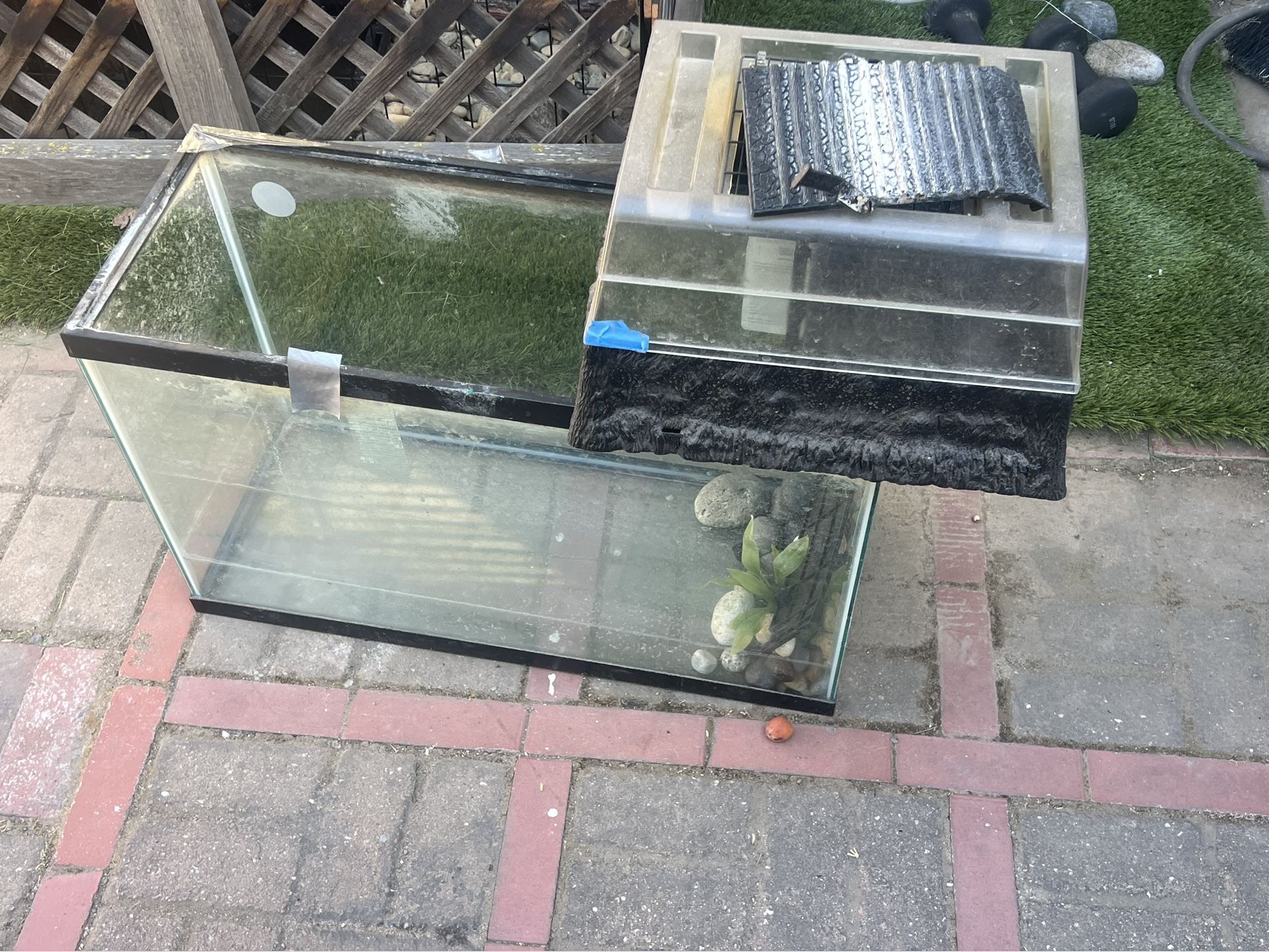 29 Gallon Aquarium