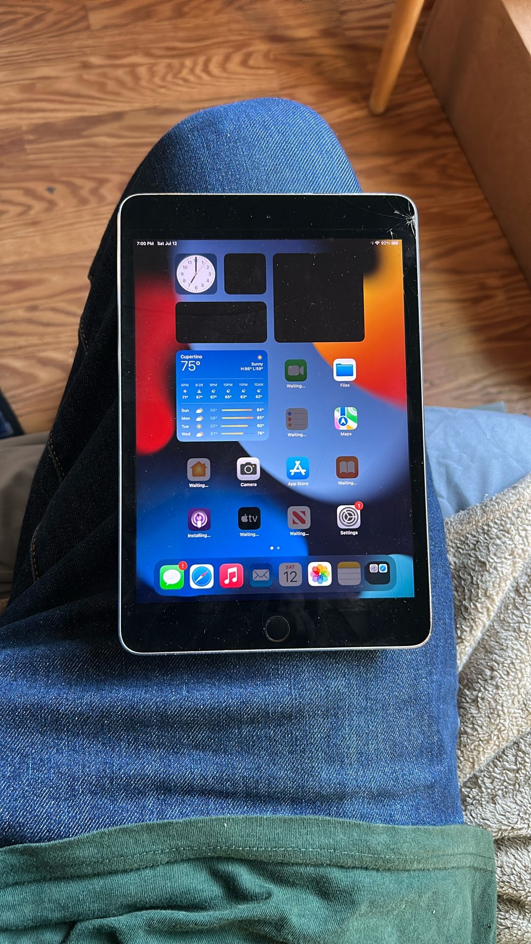 iPad Mini 4 $20