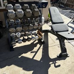 Dumbbells weights 6-65lbs plus rack 600lbs total and adjustable bench