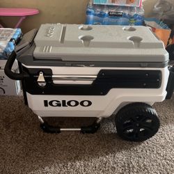 Igloo Cooler  
