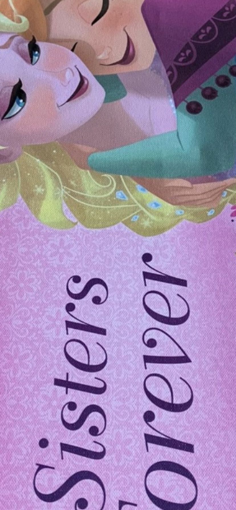 Anna & Elsa Canvas Decoration
