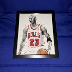 Michael Jordan Framed Photo