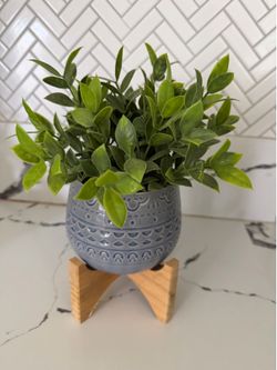 Plant decor