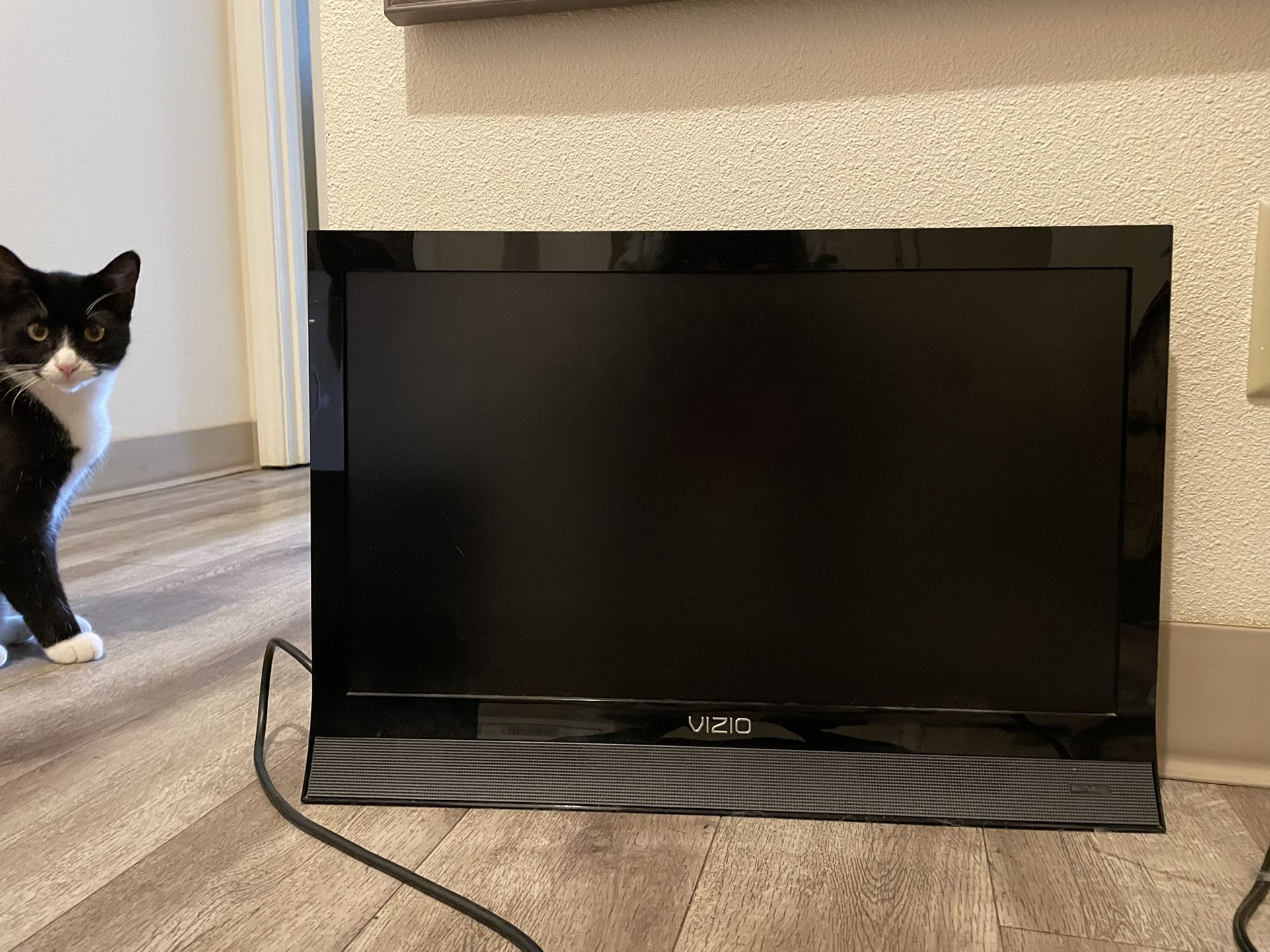 24” Visio With Remote