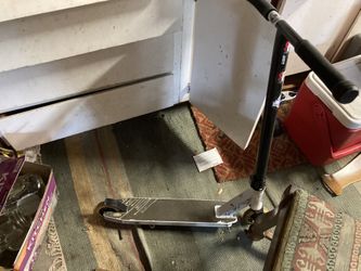lucky Scooter