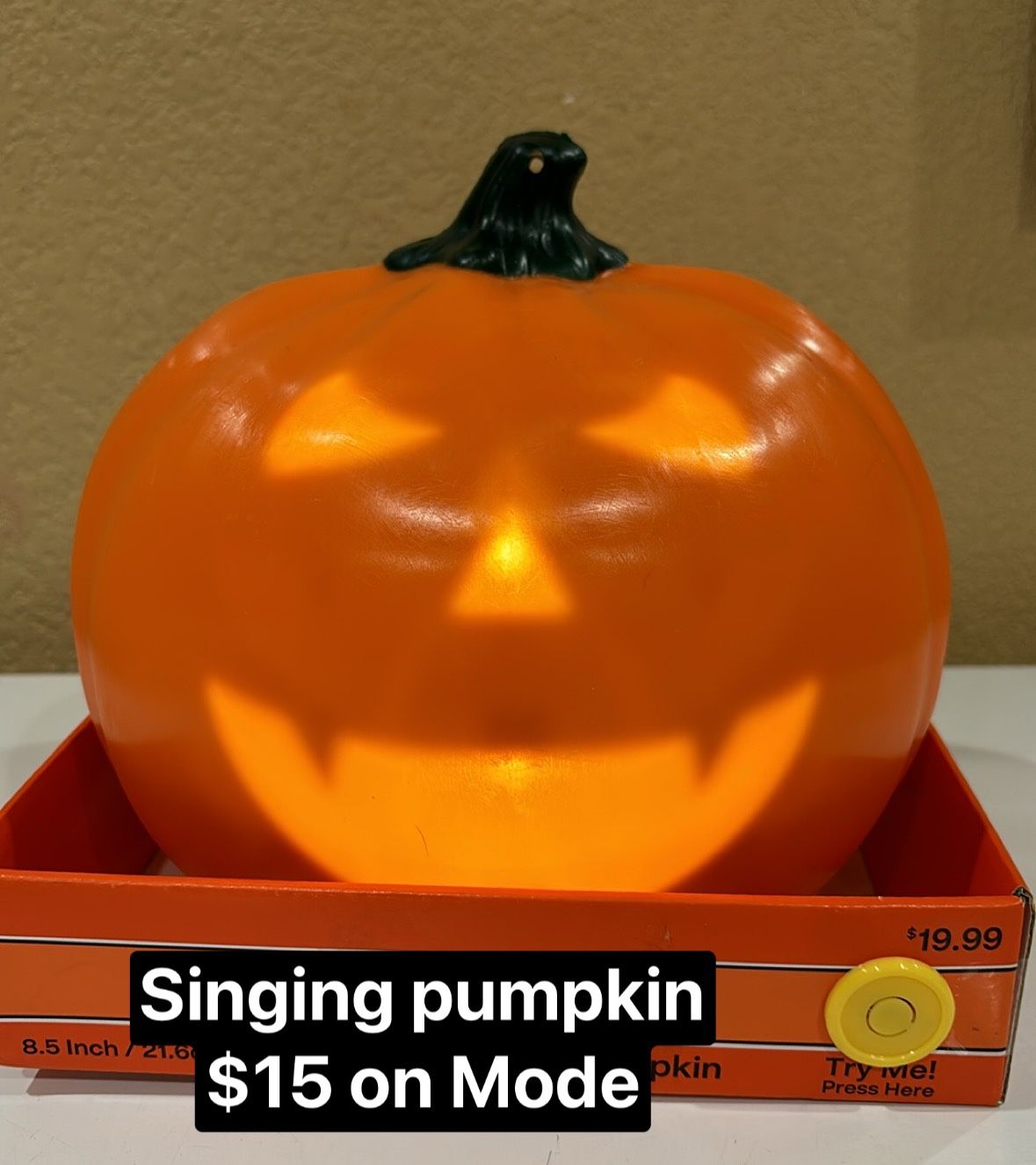 Halloween Animated Decide