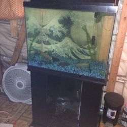 80 gallon fish tank