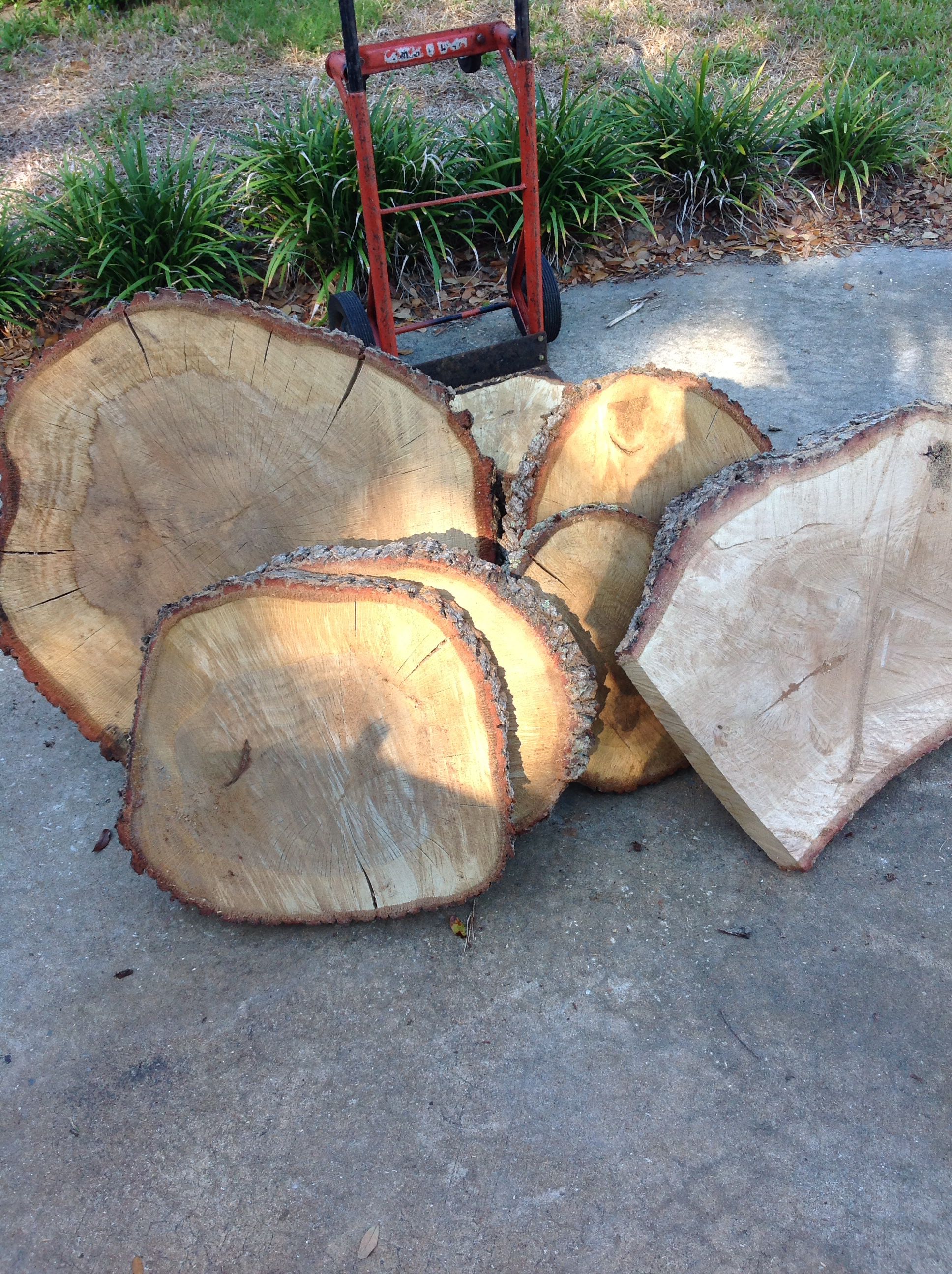 Oak Slices For Projects