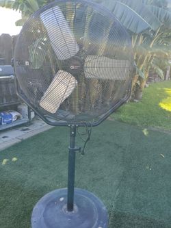 Fan