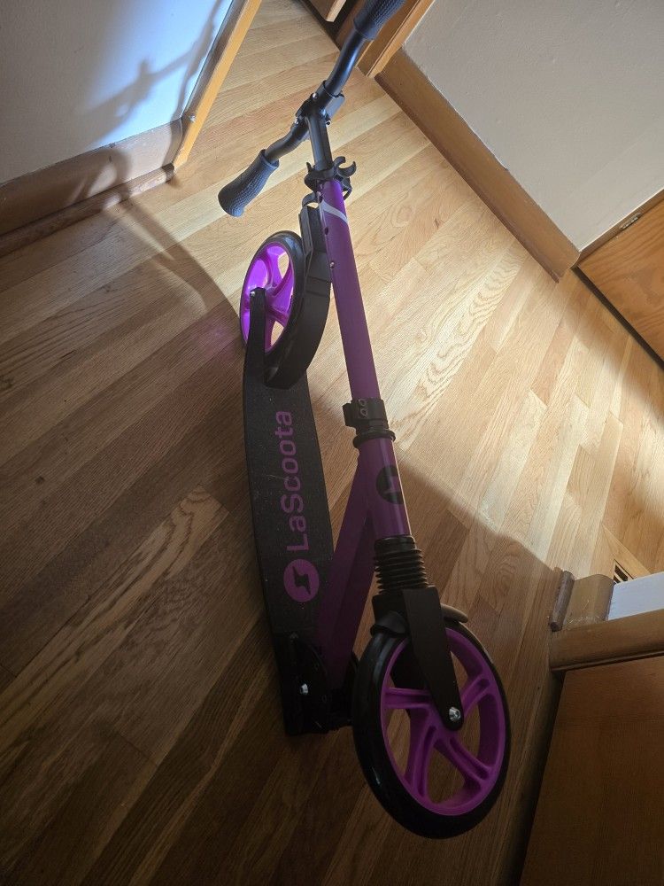 Folding Scooter
