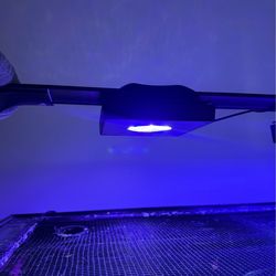 Ecotech g3 xr15