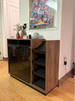 Modern Wood Grain Storage Cabinet with Glass Doors and Shoe Rack fits 16