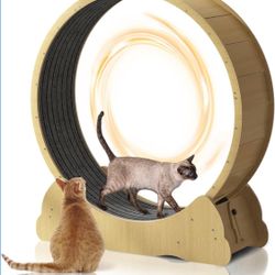 Brand New Cat Wheel- Exercise wheel for any small animal