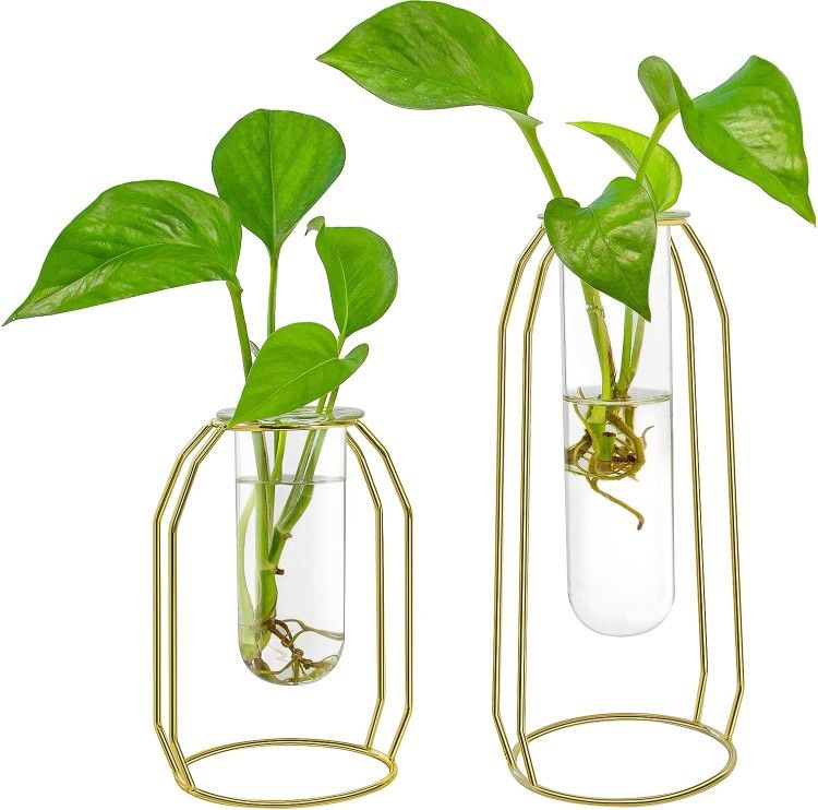🌱Plant Terrariums with 2 Test Tube in Metal Frame Propagating Hydroponic Planters