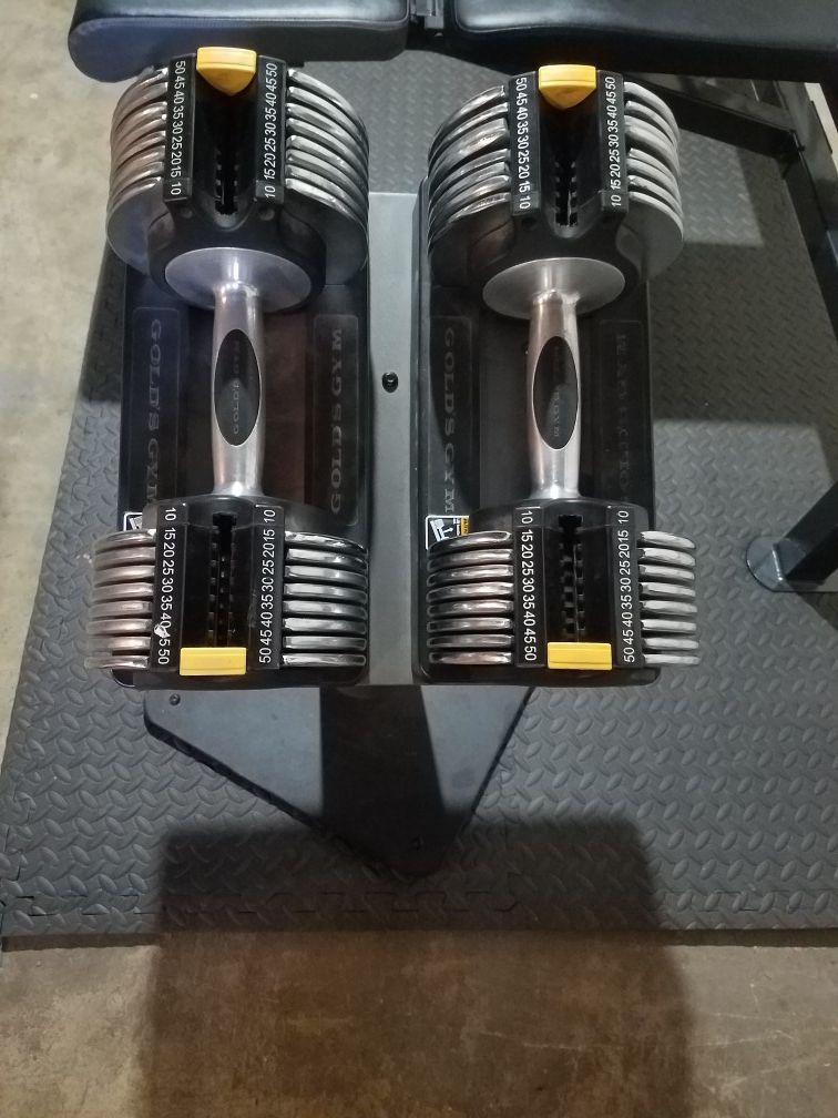 Golds Gym Switch Plate 100 - Dumbbells and Stand
