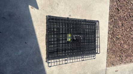 2 half feet long pop up dog or cat carry 20$