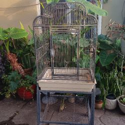 Bird Cage 