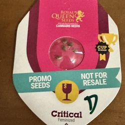 Feminized Royal Queen Cannabis Seeds