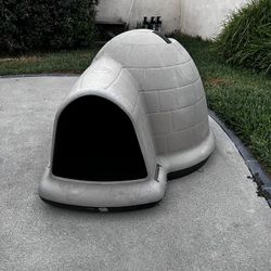 Dog House Igloo