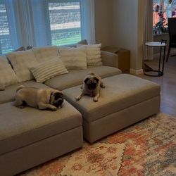 Matching Crate & Barrel Loveseats, Sofa, And Ottomans – Clean, Comfy, & Elegant
