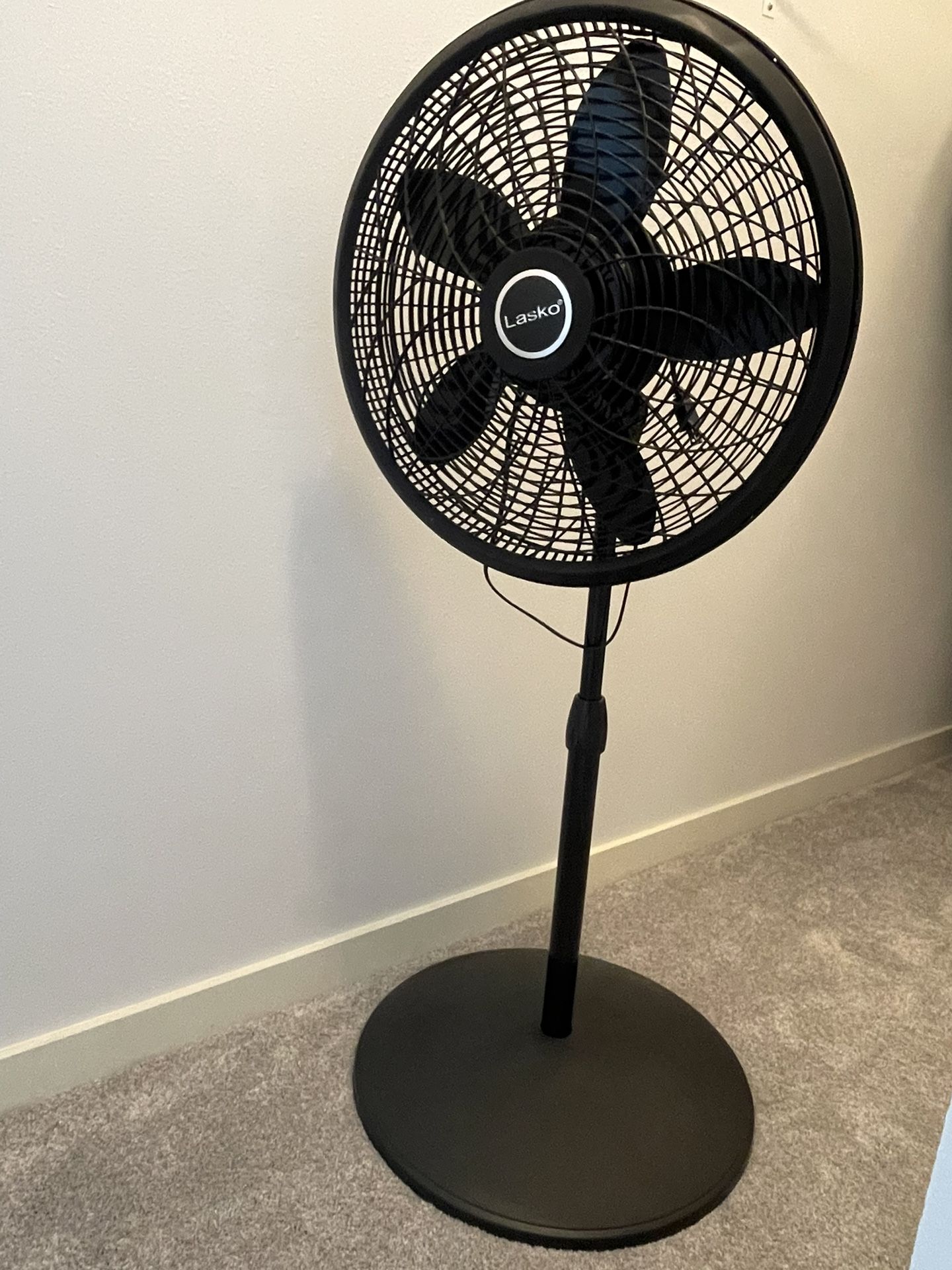 Electric fan