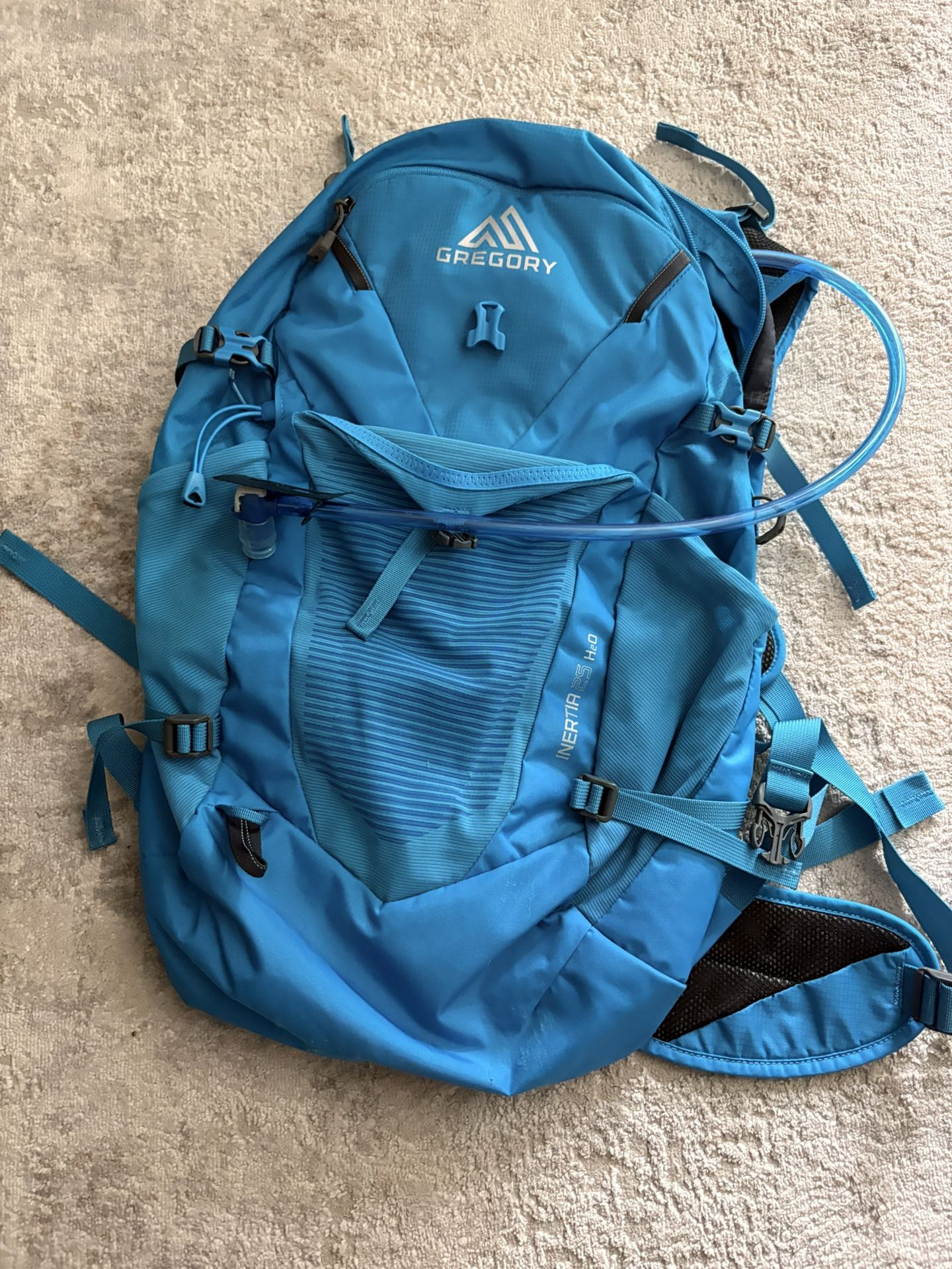 Gregory Hiking Backpack