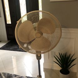 Electric Fan