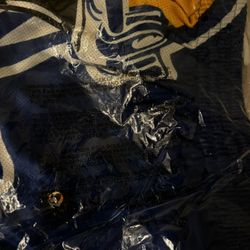 rams mitchell n ness shorts