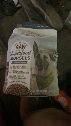 Dog food for sale