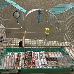 Bird Cage