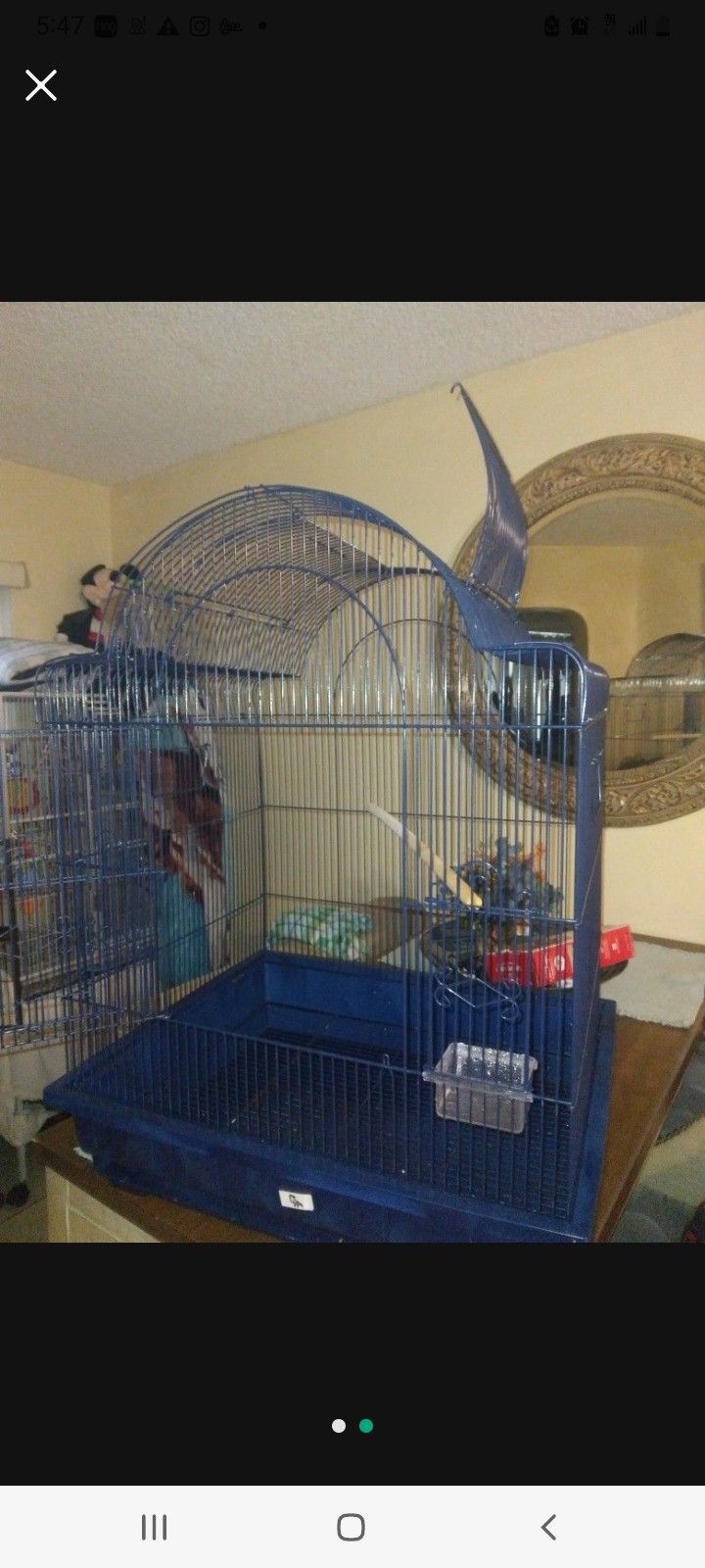 Large Bird Cage 