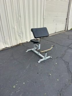 Preacher Curl Adjustable Bench