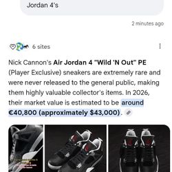 Air Jordan 4 "WILD 'N OUT" PE (Player Exclusive) RARE