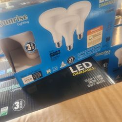 Light bulbs