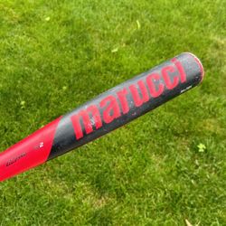 Marucci CAT USA Baseball Bat 31/21