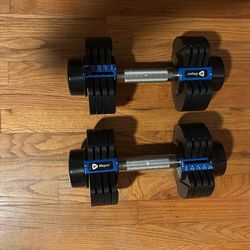 Adjustable weights set
