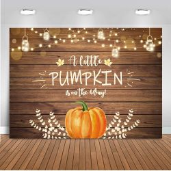 Mocsicka Fall Pumpkin Baby Shower Backdrop 7x5ft Autumn Rustic Wood Fall Baby Shower Party Decorations Photo Booth Backdrops A Little Pumpkin Is On Th