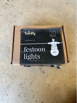 Twinkly festoon lights 20 bulb starter kit