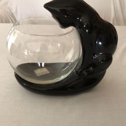 Black Cat looking In Fish Bowl