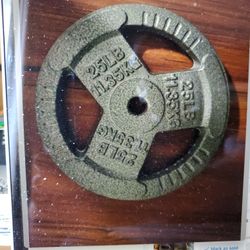 25lb 1 Inch Plate - New!