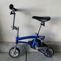 Runt Mini Bike