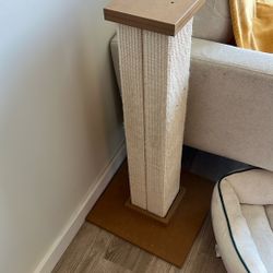 Large Cat Scratcher 