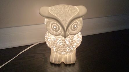 Owl lamp-glass