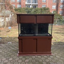 75gl Rimless Fish Tank with Stand, Hood, Sump